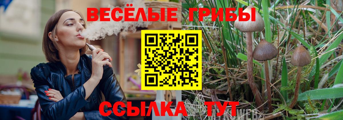 Стрежевой  Псилоцибиновые грибы ЛСД  Вход с VPN 